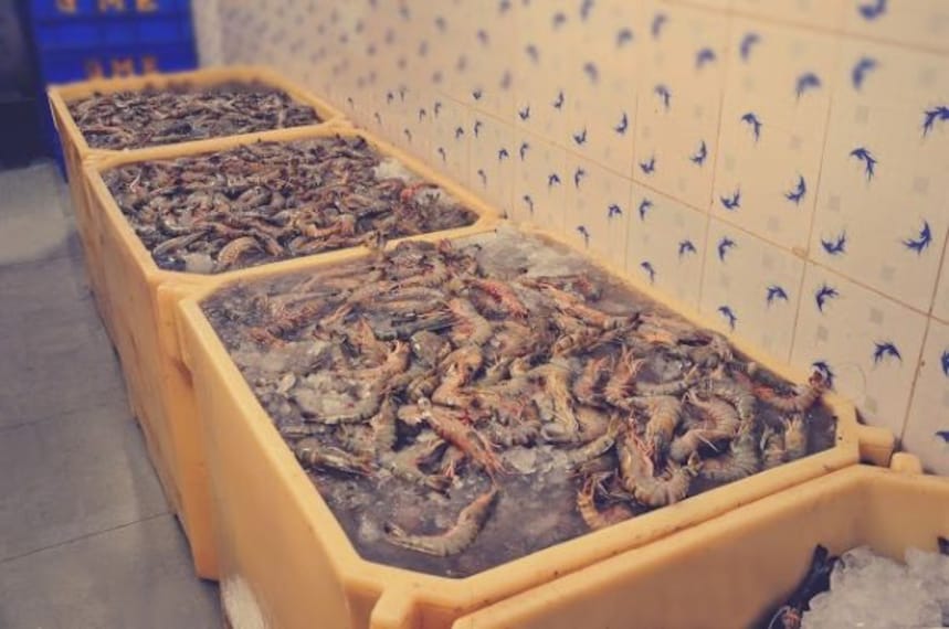 Fresh Seafood on the Beach_2